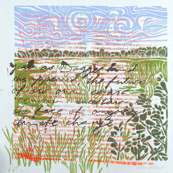 River AiM book collection 38